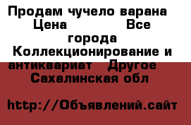 Продам чучело варана › Цена ­ 15 000 - Все города Коллекционирование и антиквариат » Другое   . Сахалинская обл.